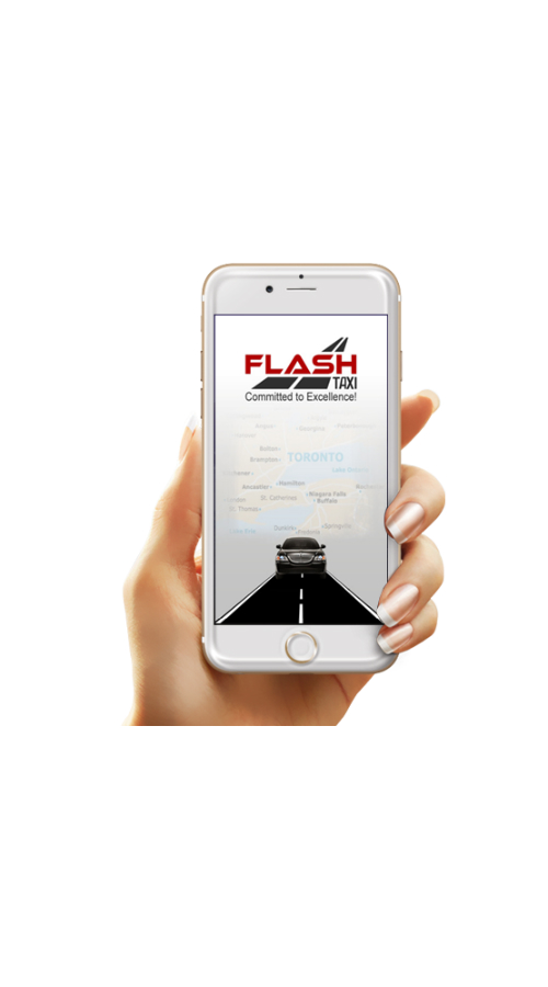 Flash Taxi screenshot 1